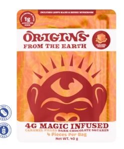 Origins Mushroom Chocolate - Caramel Dark Chocolate 4g