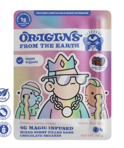Origins Mushroom Chocolate - Doodles Mixed Berry Chocolate 4g